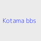 Agence immobiliere kotama bbs